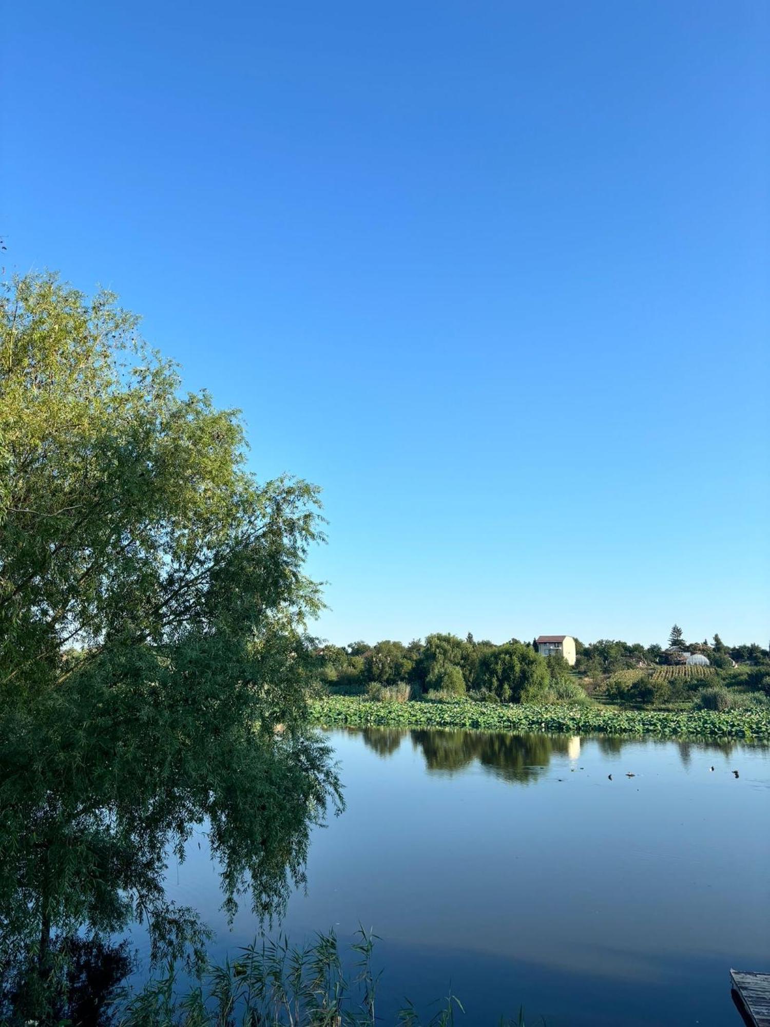 La Nuferi Lac To Therme & Aeroport Otopeni Hotel Snagov Buitenkant foto